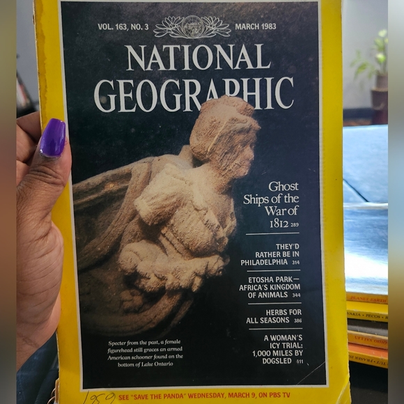 Random National Geographic Magazines - Picture 10 of 12